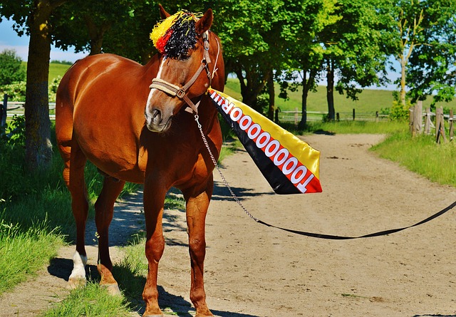 心理训练 心理训练