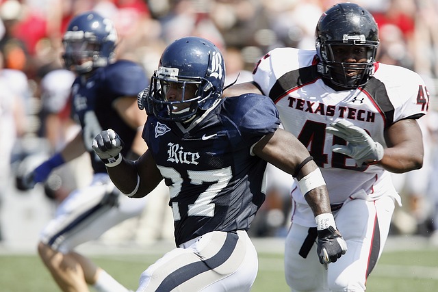 崛起形成鲜 崛起形成鲜