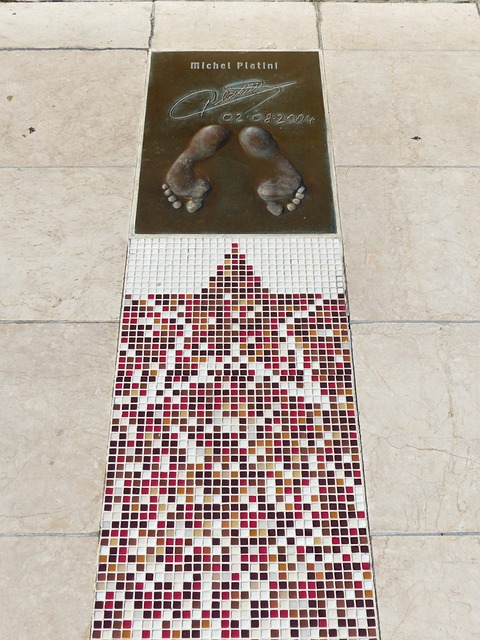 来都是备受 来都是备受