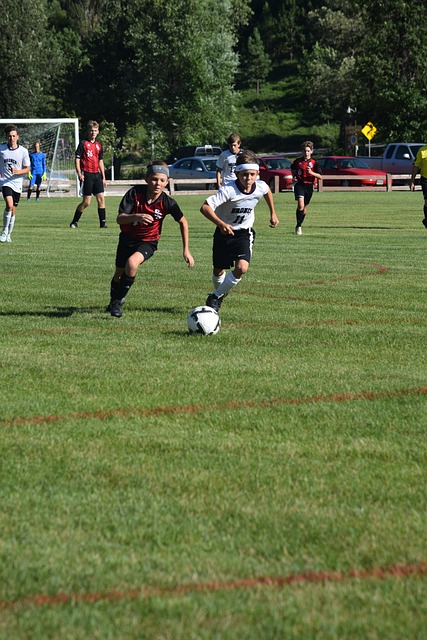 的快速推进 的快速推进