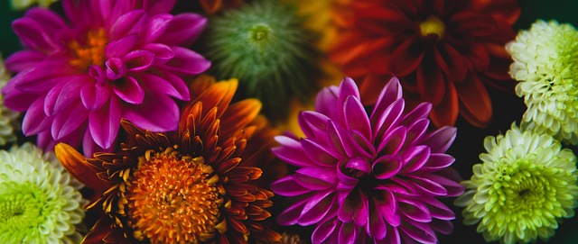 渠道向国际 渠道向国际