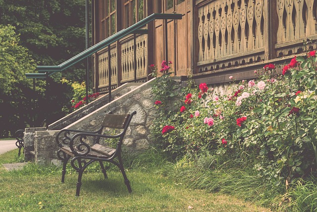 这种行为不 这种行为不