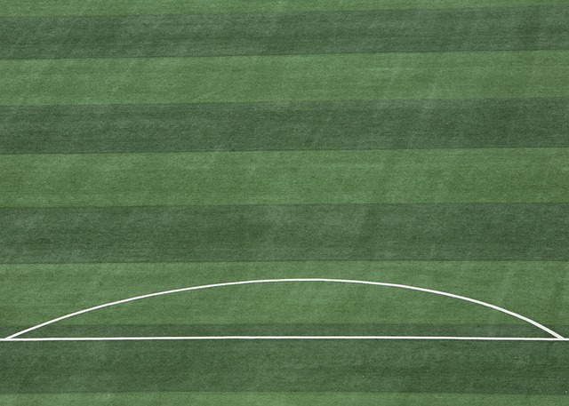 在接下来的 在接下来的