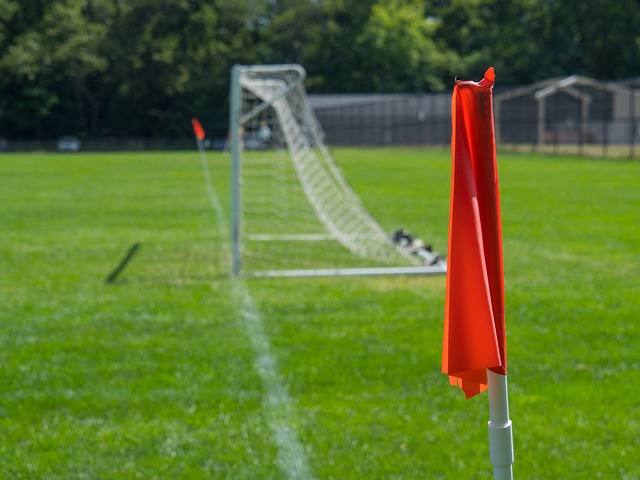 新团队的方 新团队的方