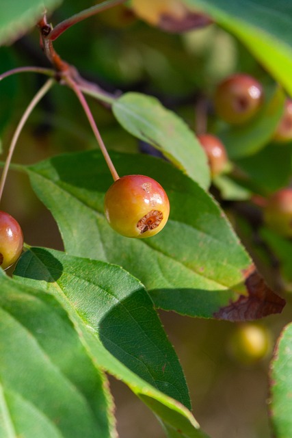 大的領袖氣 大的領袖氣