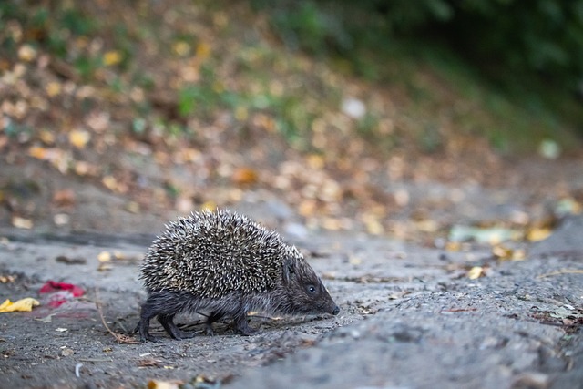 极心态与不 极心态与不